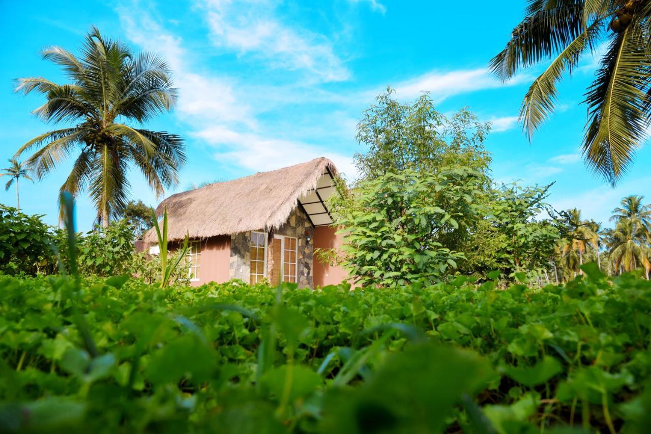Coco Village Hotel Chilaw Bangadeniya Экстерьер фото